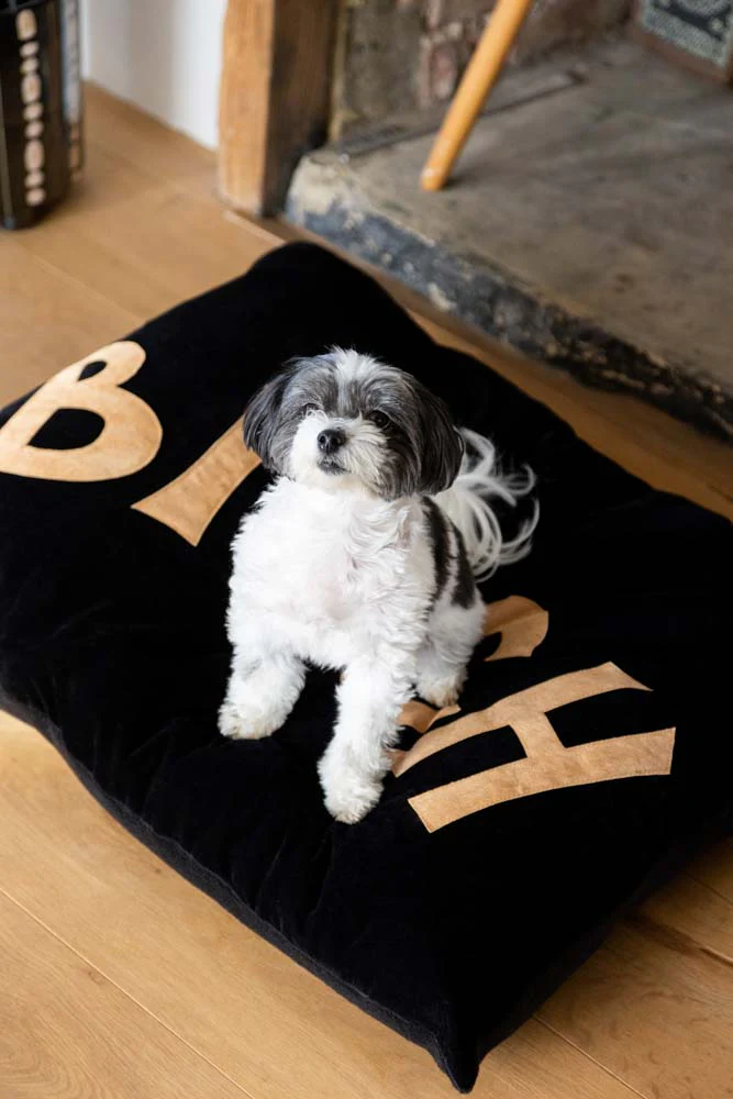 Bitch Dog Bed - 3 Available Sizes - Image 2