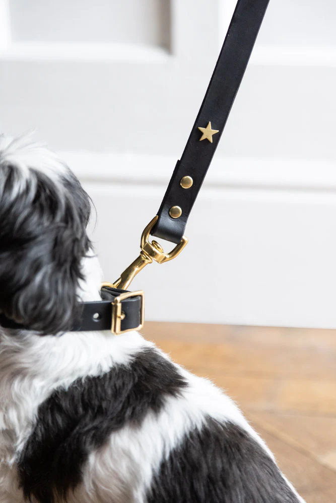 Black Leather Dog Lead With Stars - Image 6