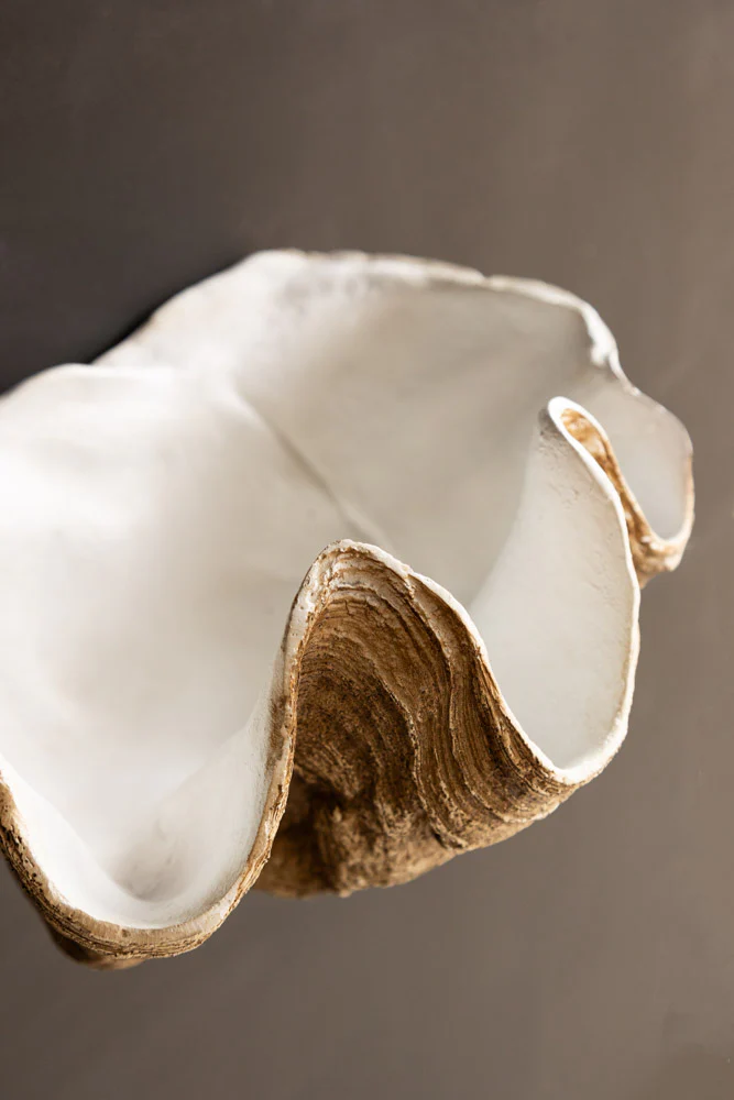 Clam Shell Wall Shelf - Image 8