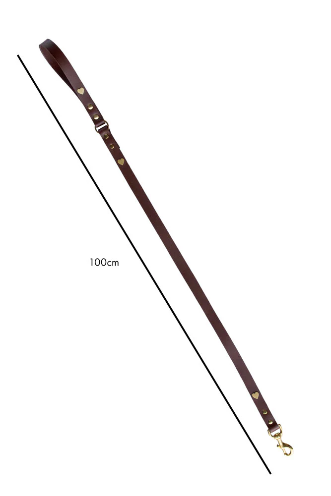 Dark Brown Leather Dog Lead With Hearts - Image 10