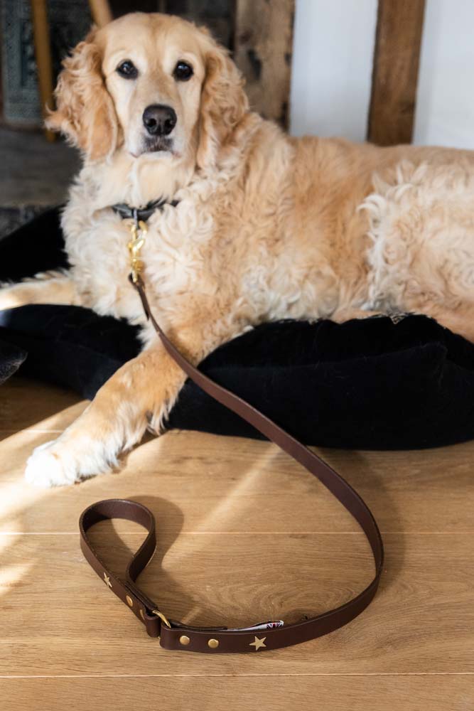 Dark Brown Leather Dog Lead With Stars - Image 2