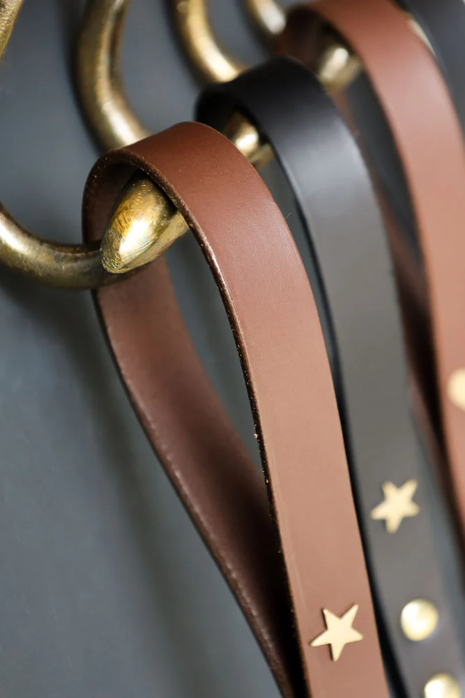 Dark Brown Leather Dog Lead With Stars - Image 6