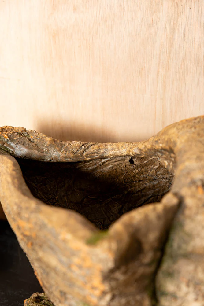 Large Shell Planter - Image 8