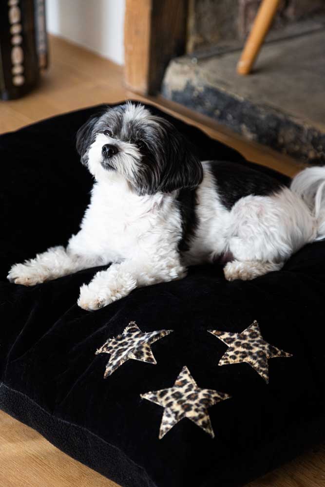 Leopard Stars Dog Bed - 3 Available Sizes - Image 27
