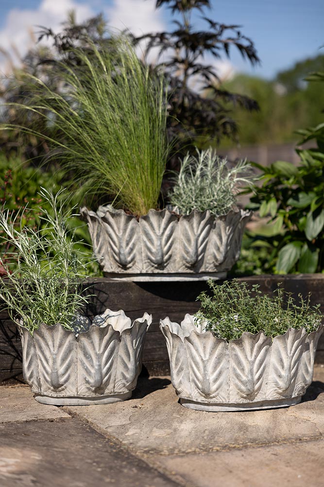 Set of 3 Petal Antiqued Planters